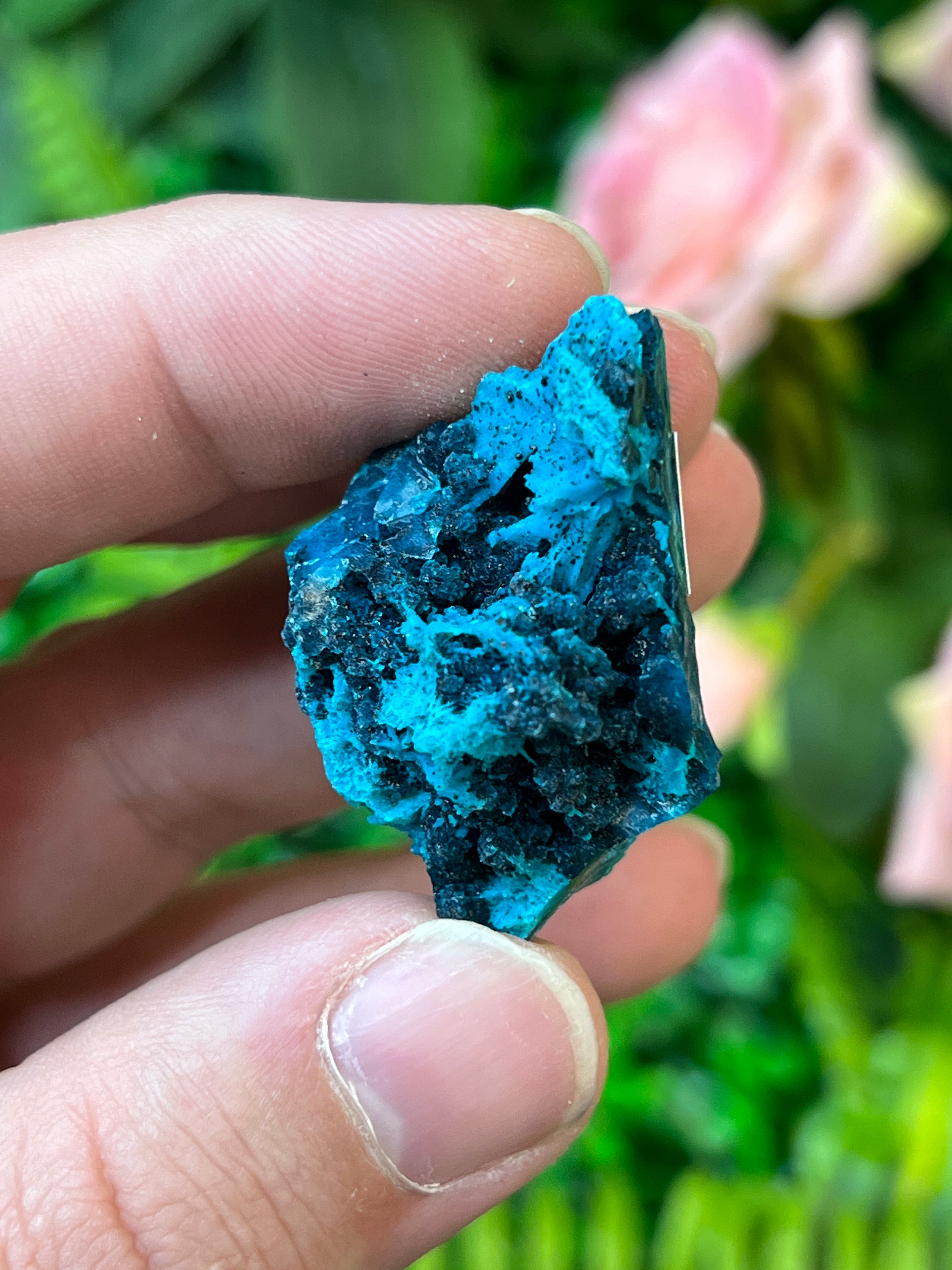 Chrysocolla