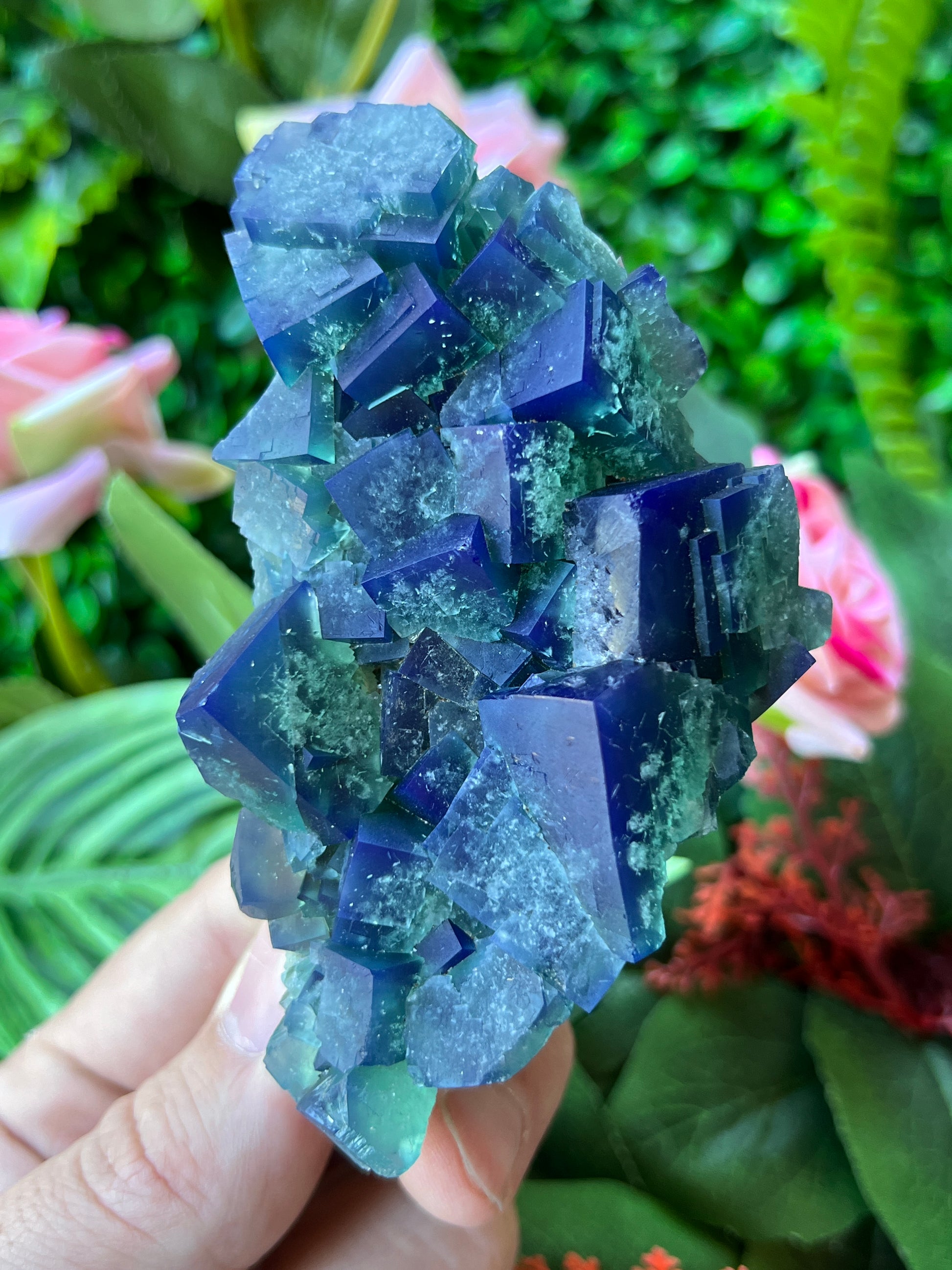 Fluorite (Color Change) - Naughty Gnome Pocket