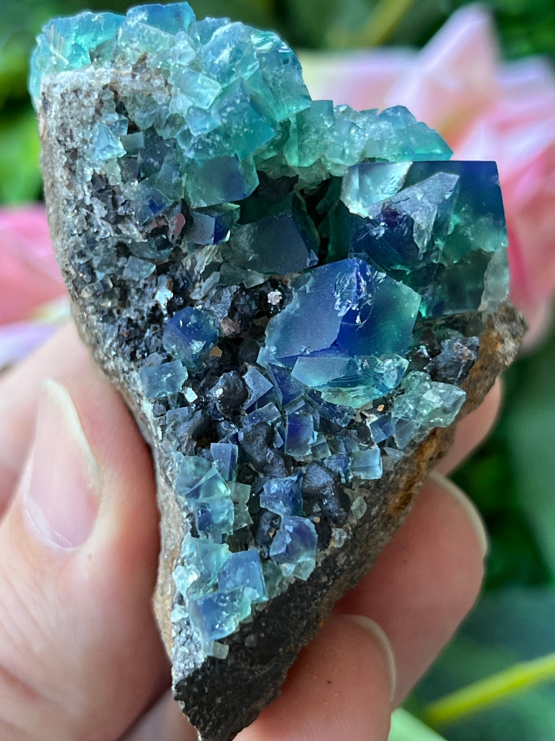 Fluorite (Color Change) w/ Galena
