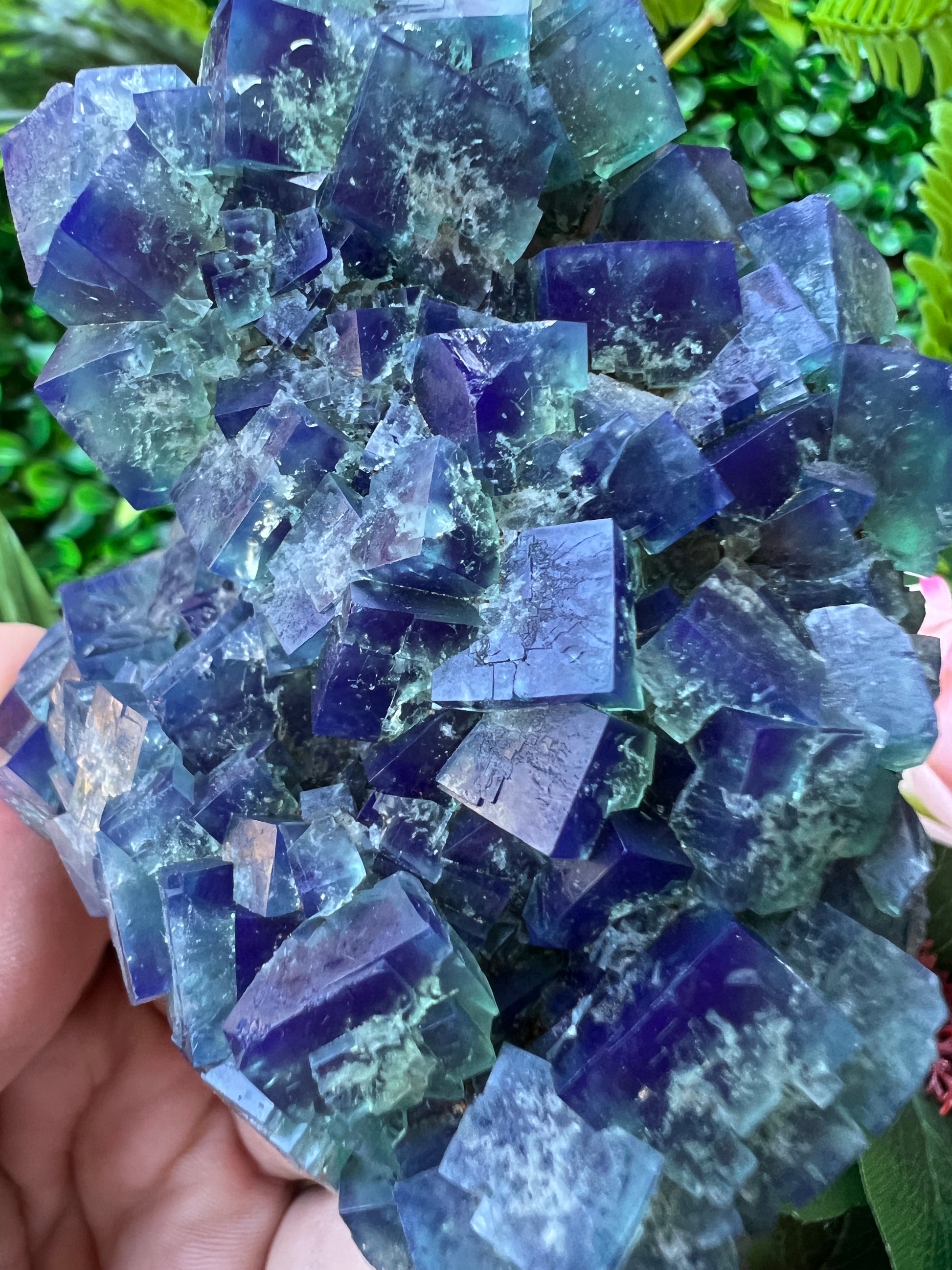 Fluorite (Color Change) - Naughty Gnome Pocket
