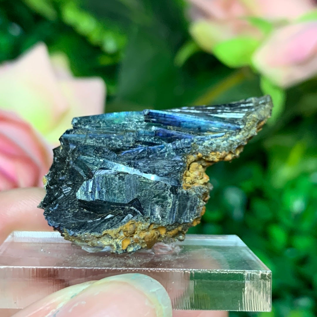 Vivianite