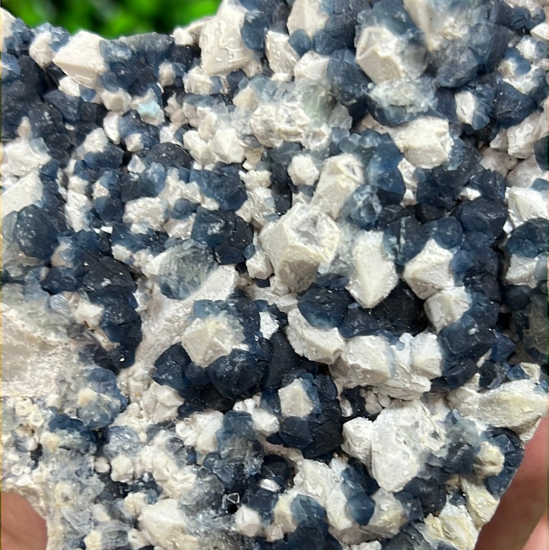 “Blueberry” Fluorite on Quartz