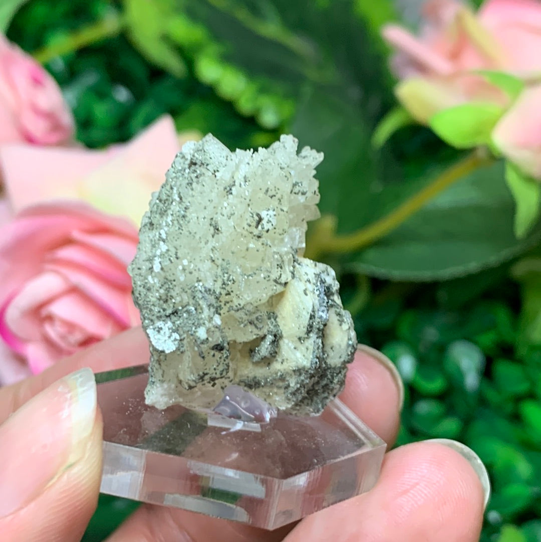 Apatite w/ Clinochlore
