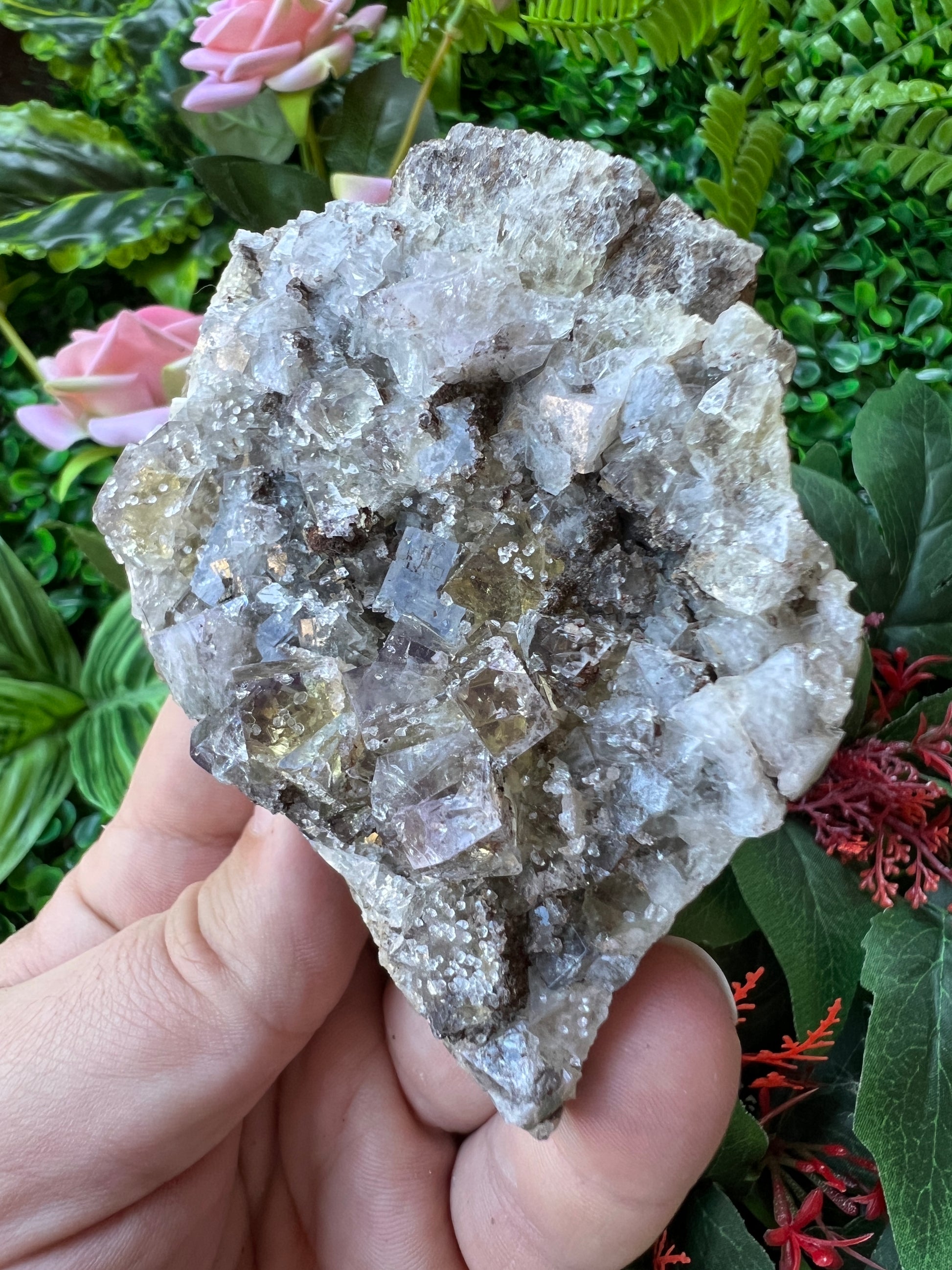 Fluorite - Lemon Meringue Pocket