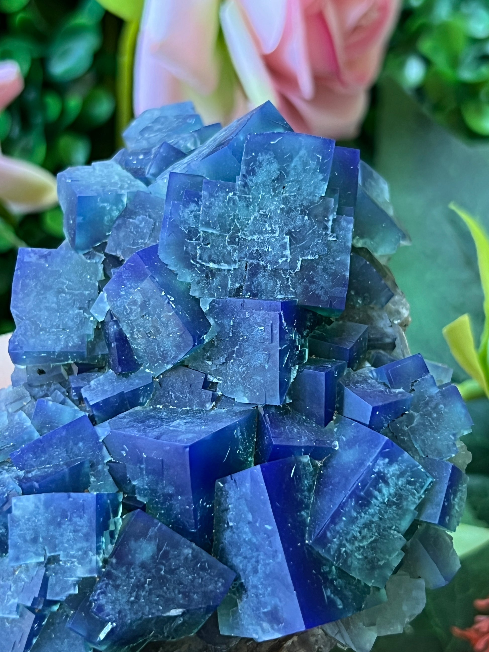 Fluorite (Color Change) - Naughty Gnome Pocket