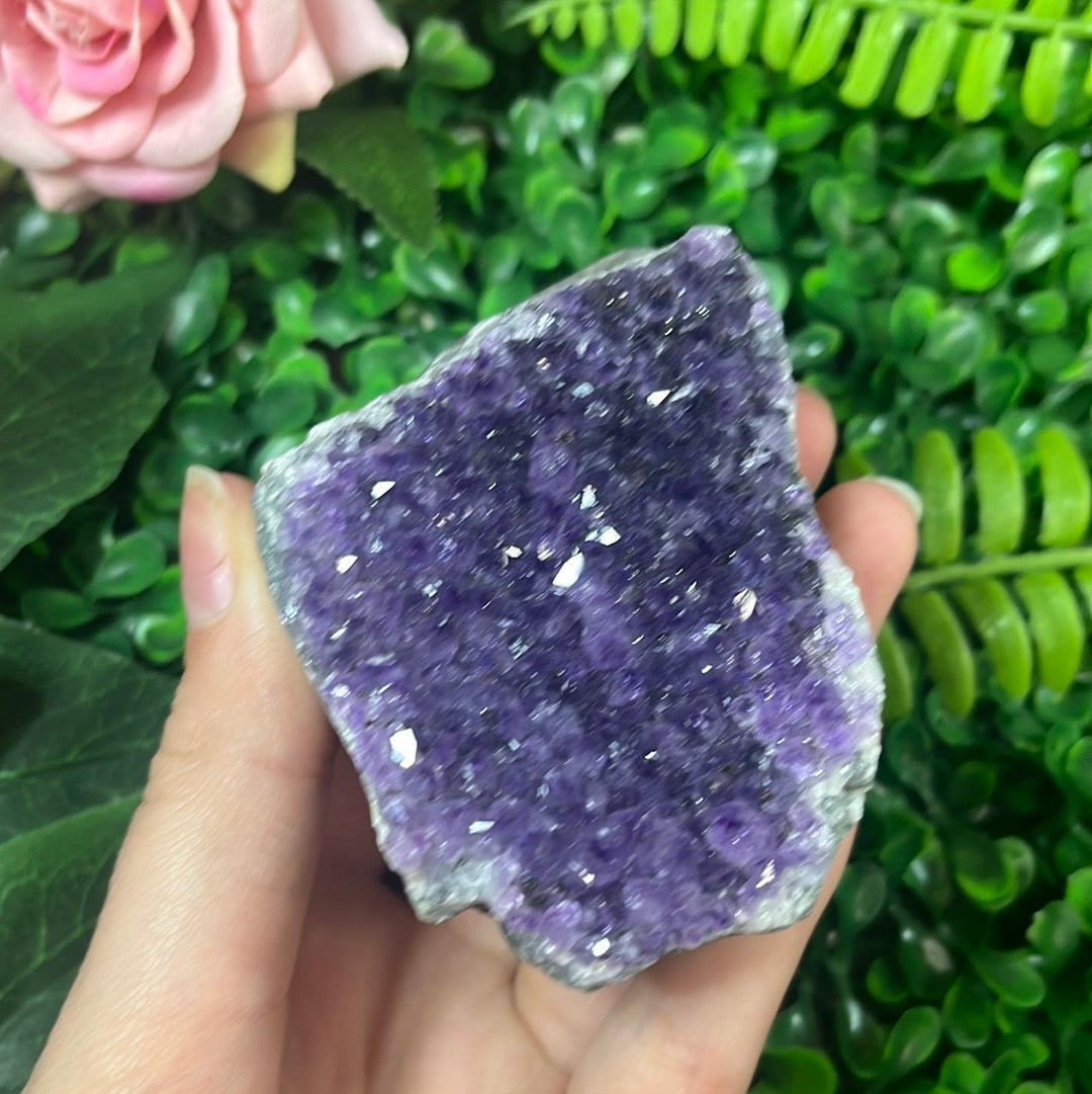 Amethyst Cluster