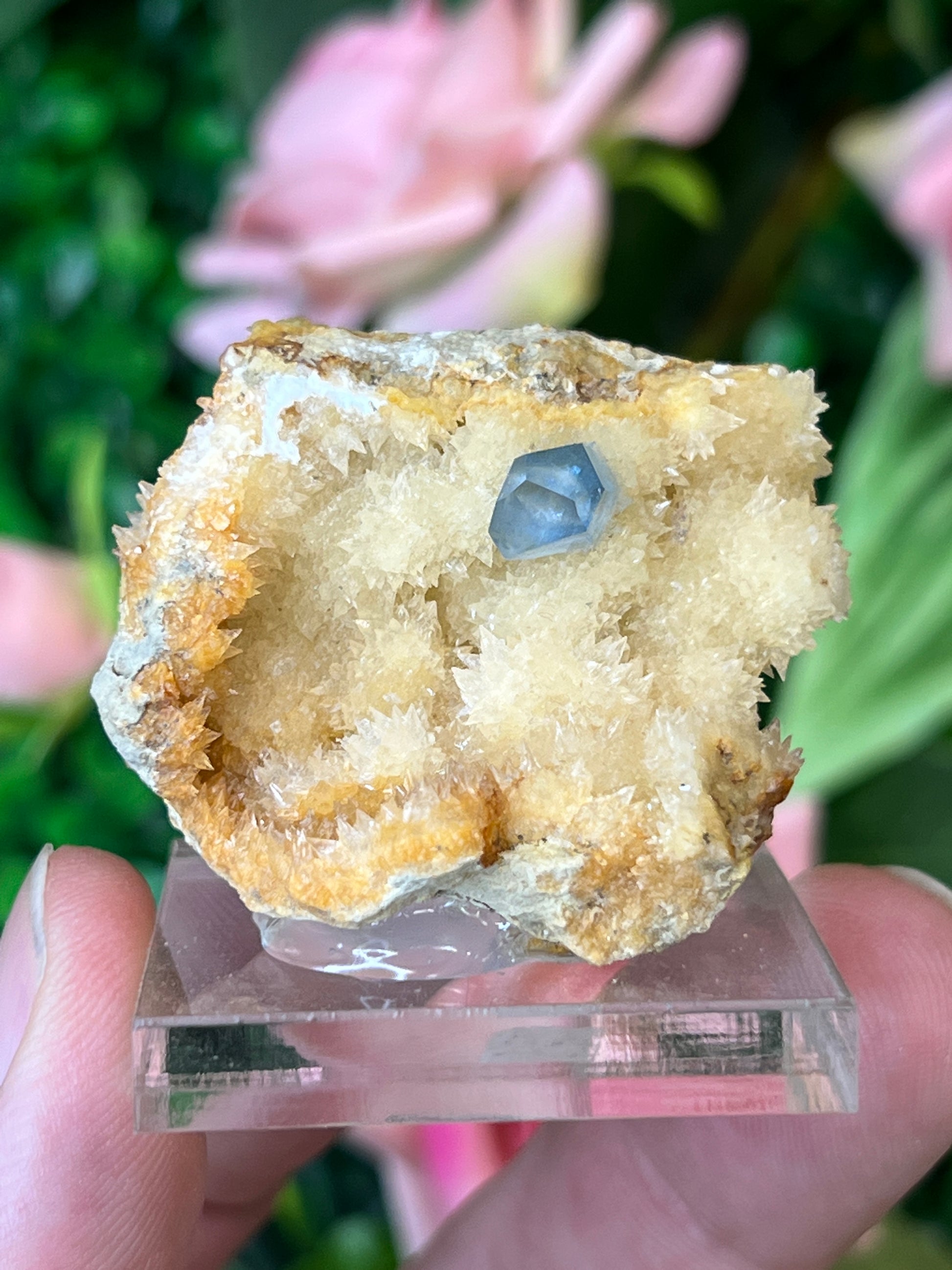 Celestine on Calcite