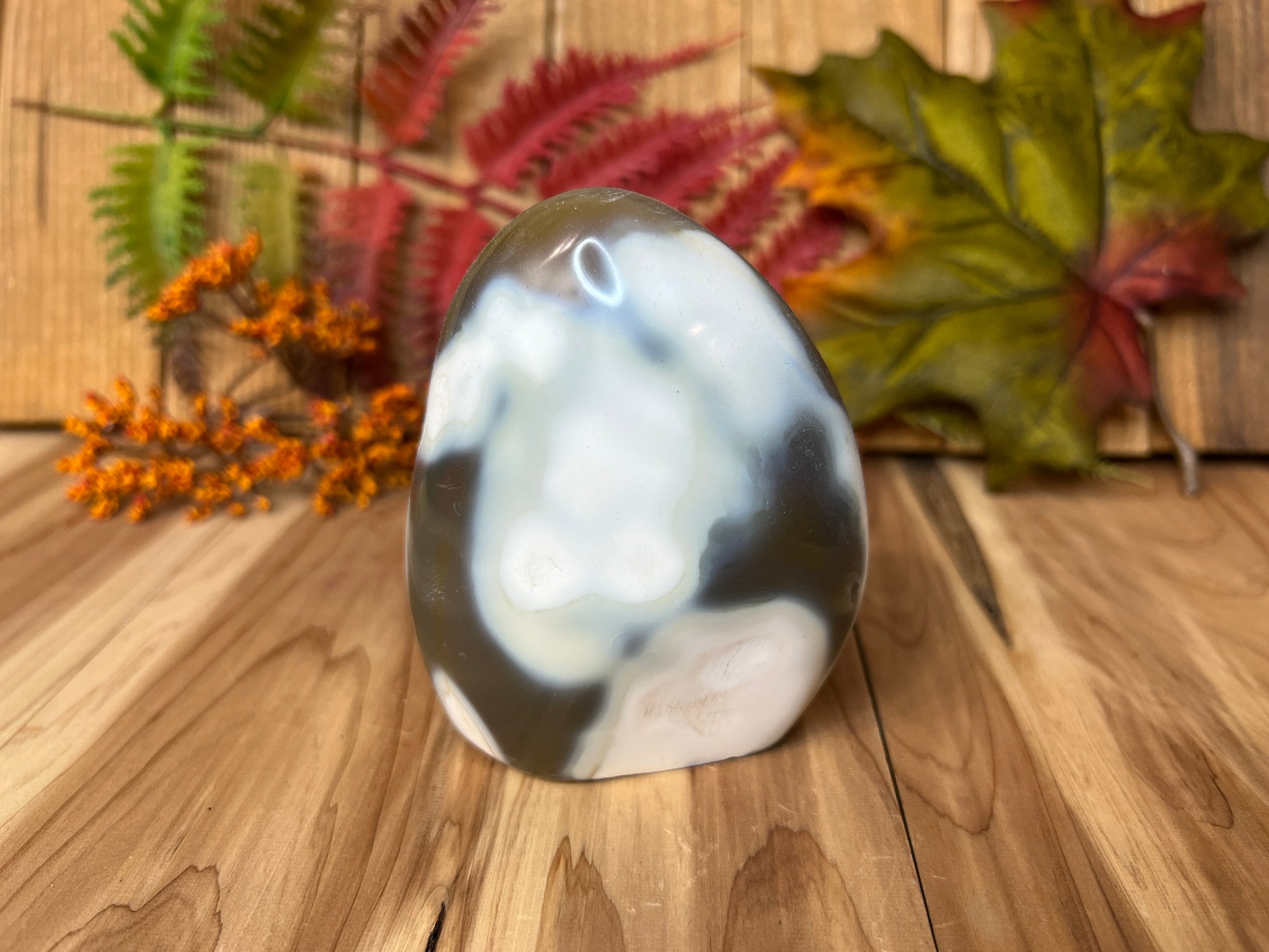 Orca Agate Freeform