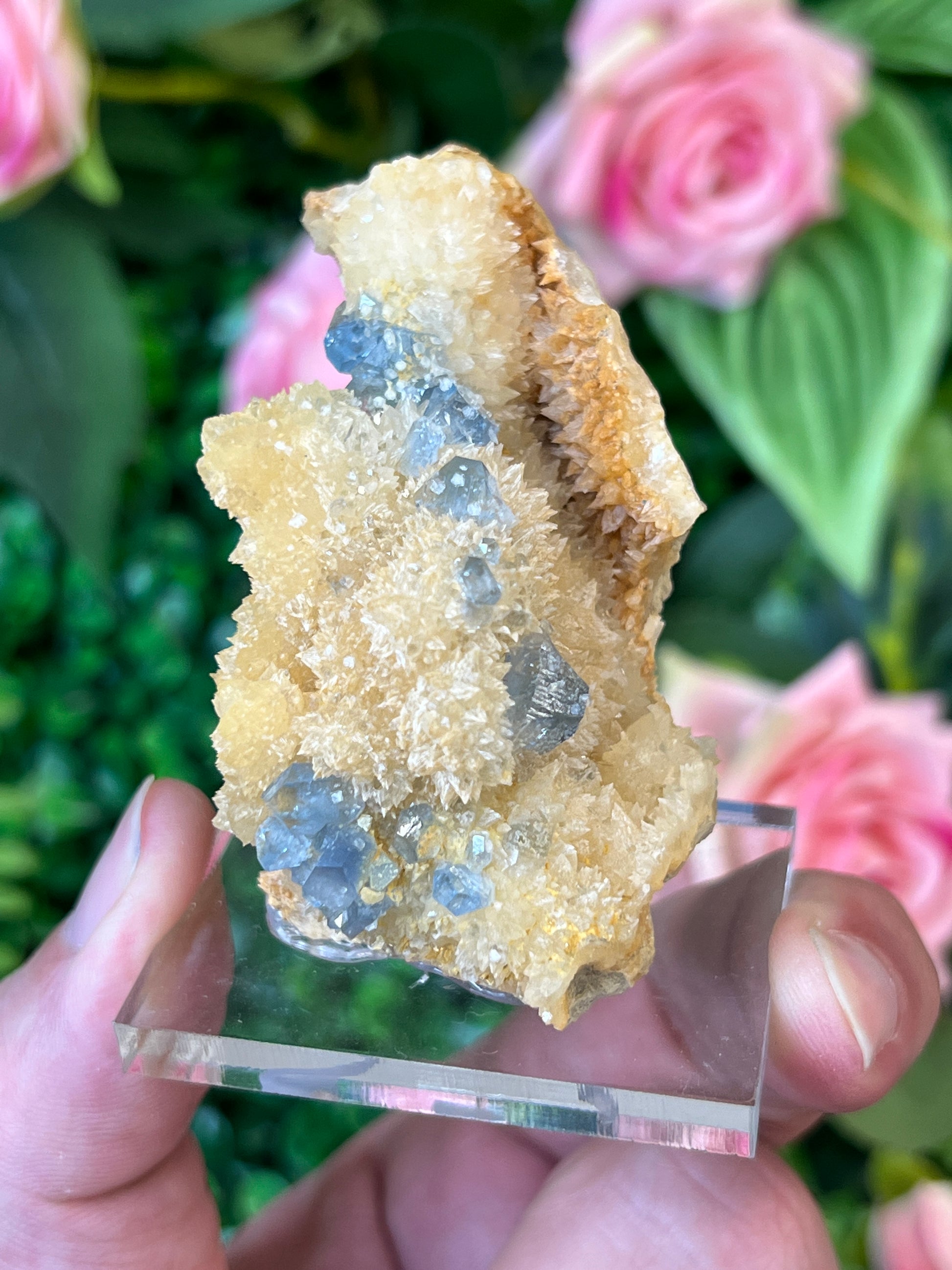 Celestine on Calcite