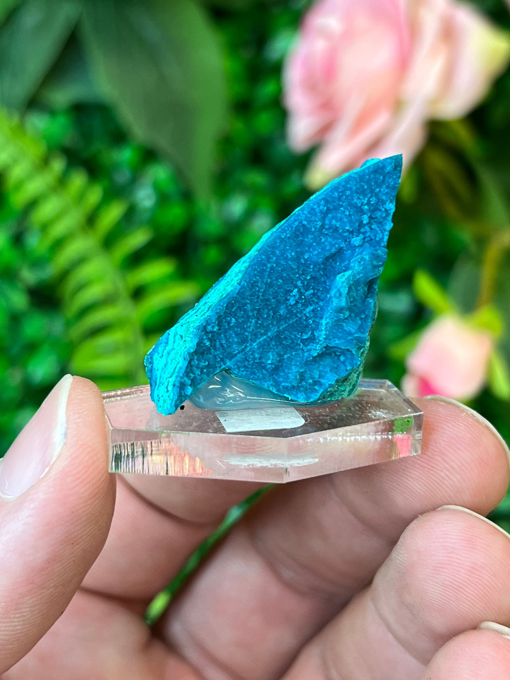Chrysocolla and Malachite