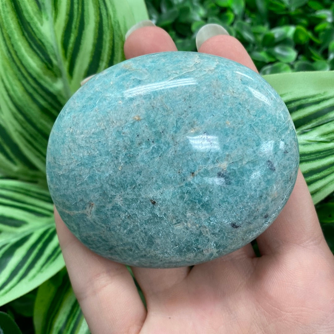 Amazonite Palm