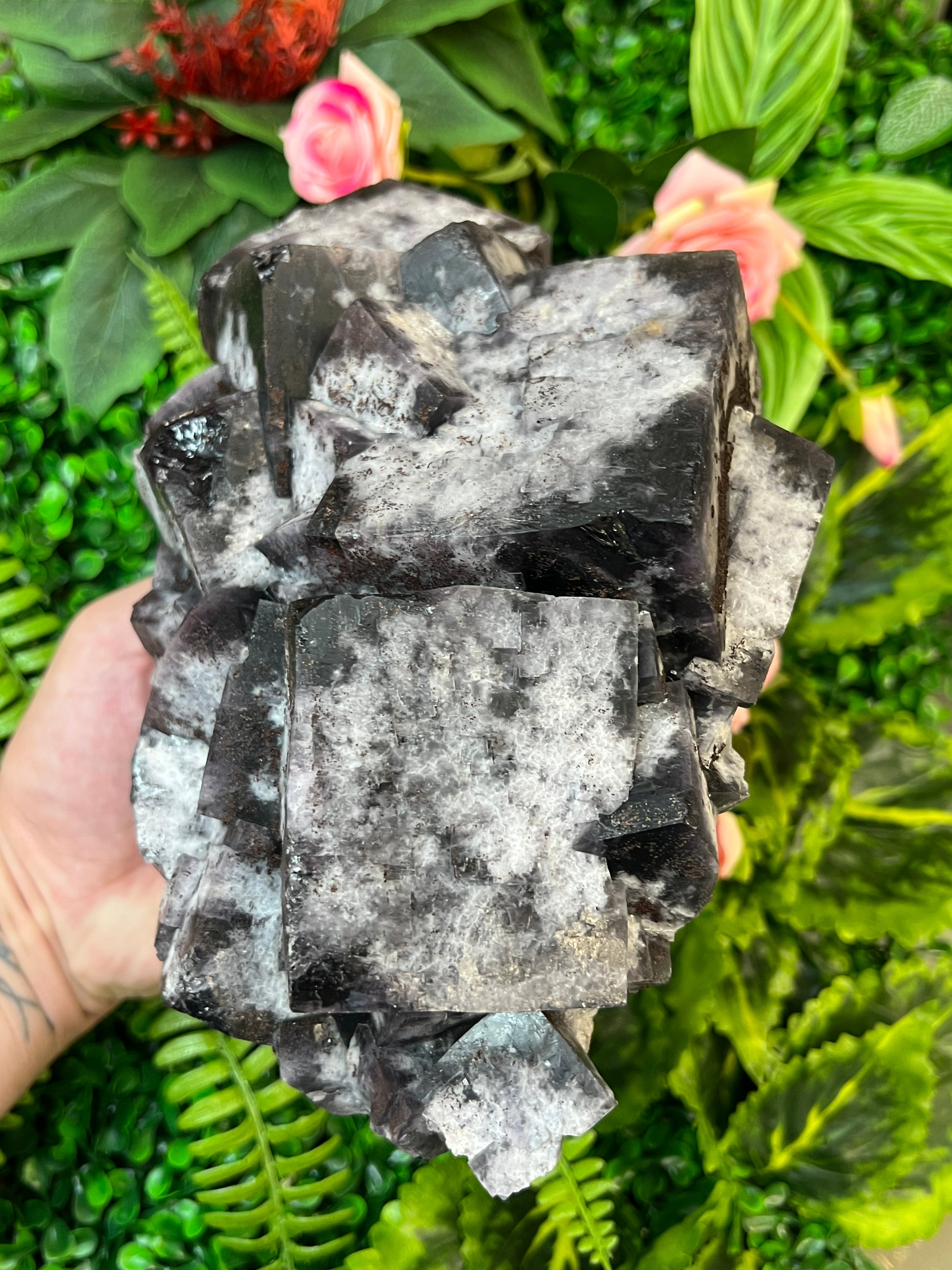 Greenlaws Fluorite