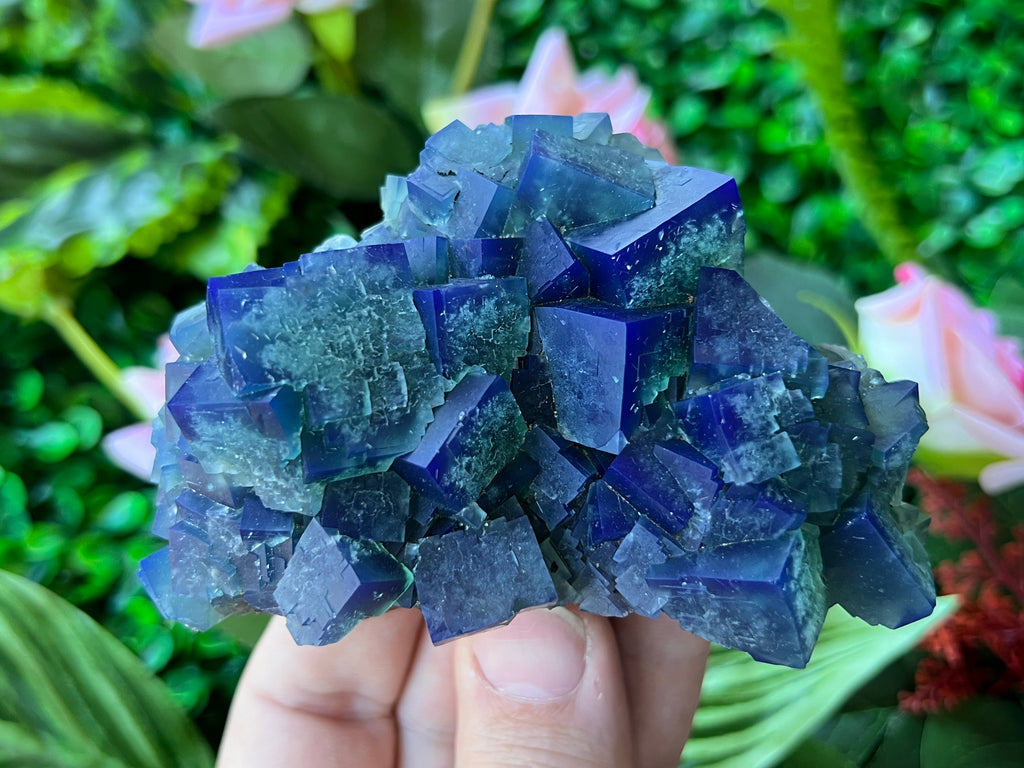 Fluorite (Color Change) - Naughty Gnome Pocket