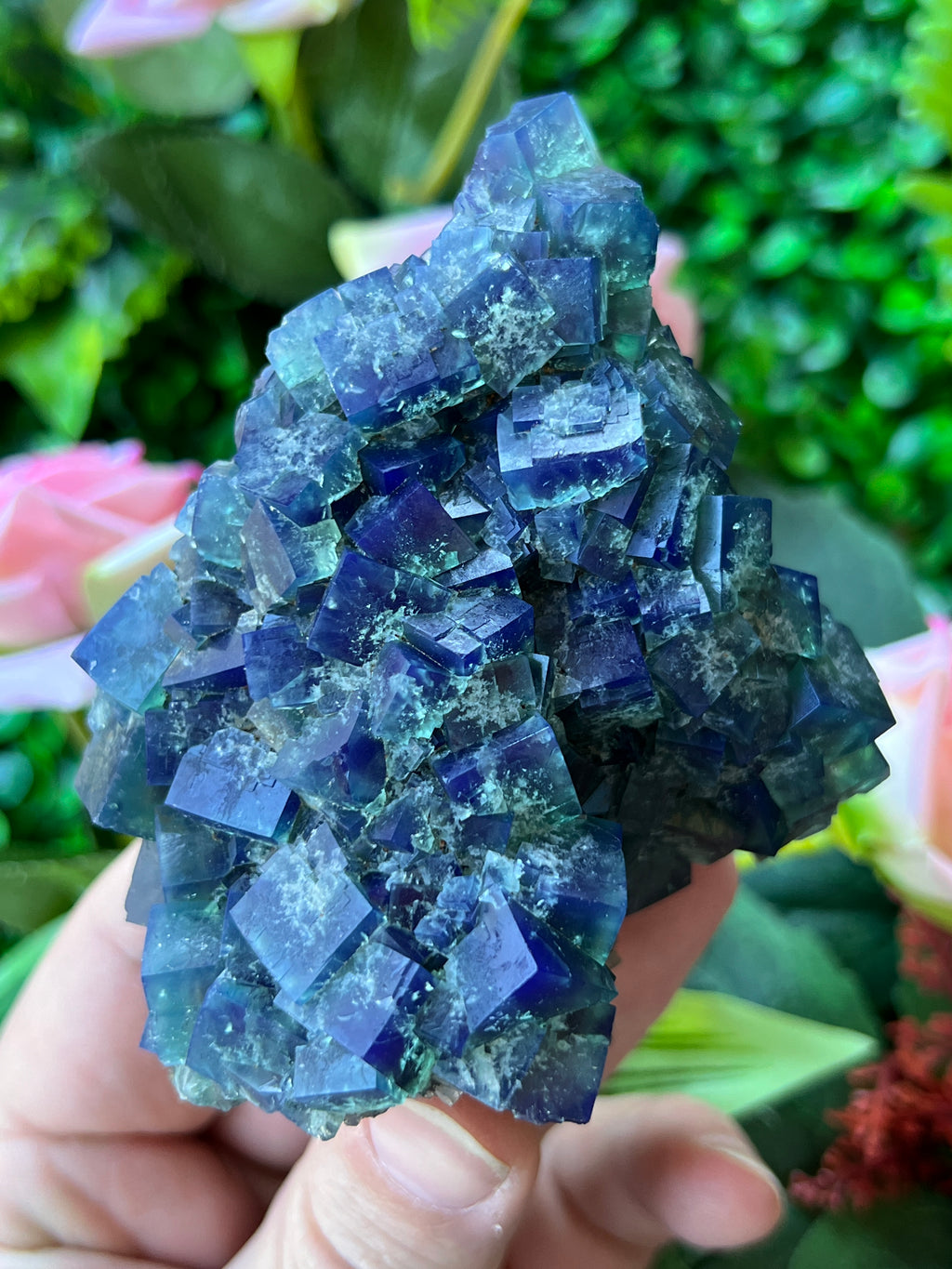 Fluorite (Color Change) - Naughty Gnome Pocket