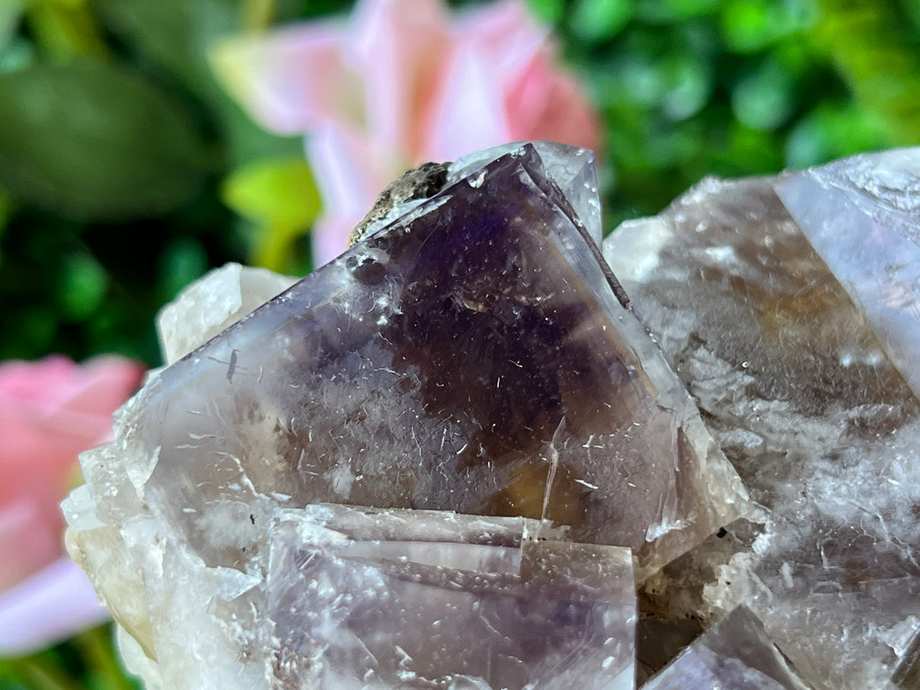 Fluorite (color change) - Harvest Pocket