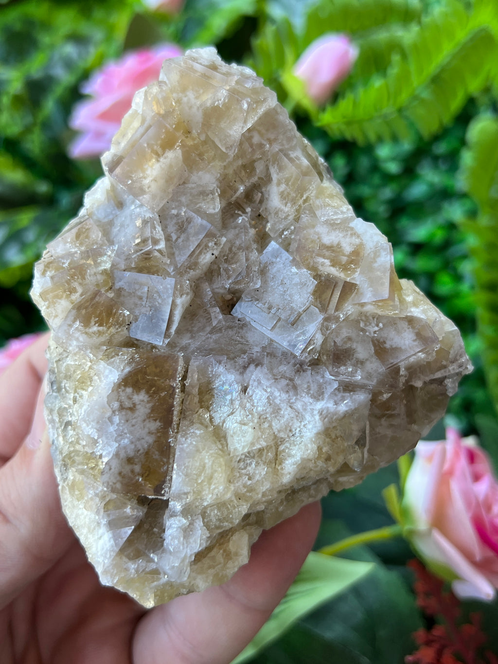 Fluorite (Color Change) - Harvest Pocket