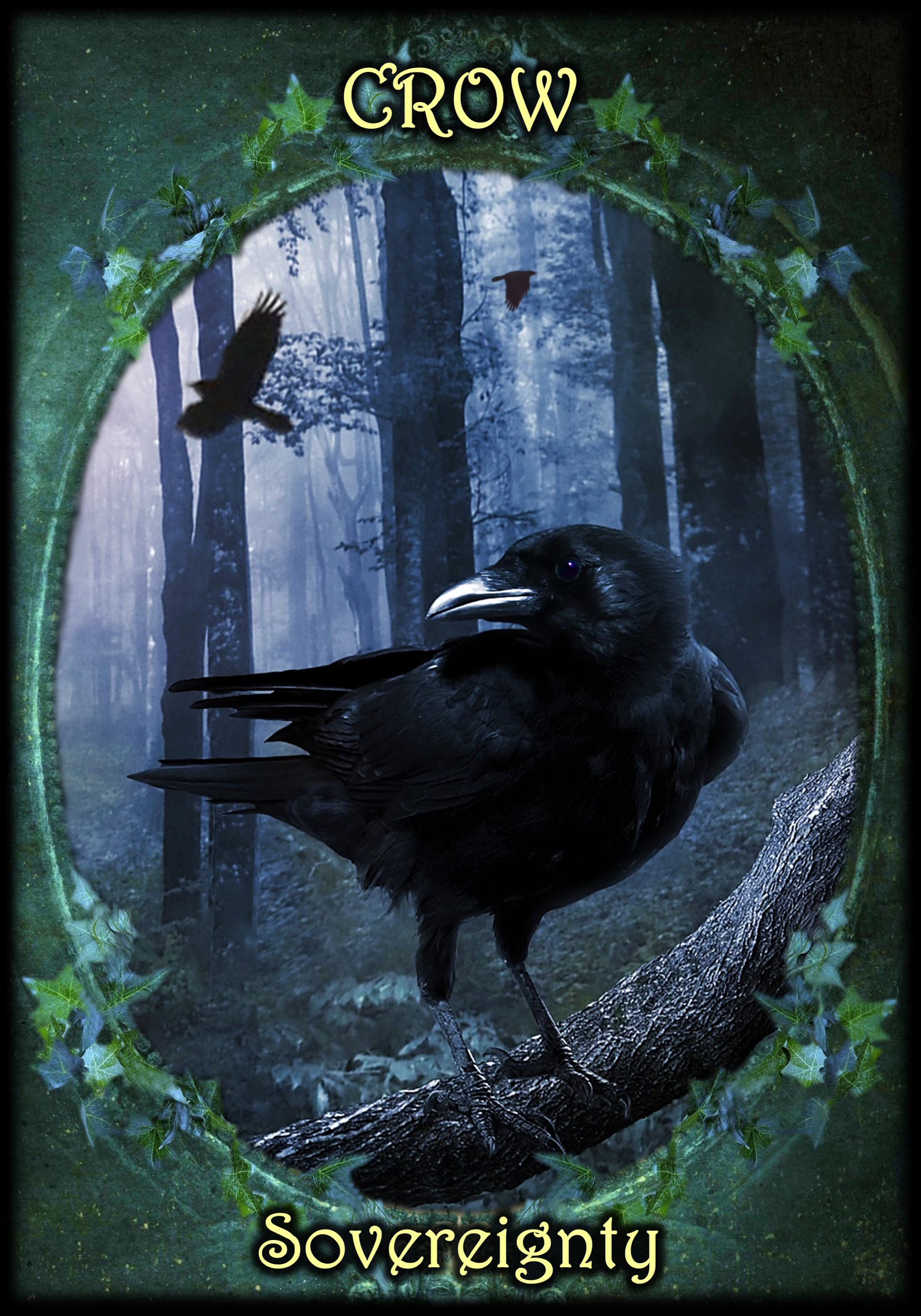Witches Familiars Oracle