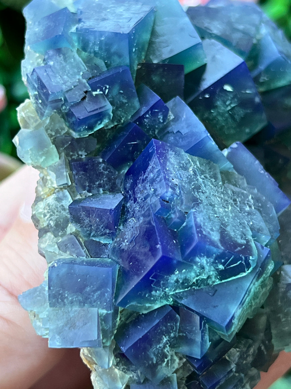 Fluorite (Color Change) - Naughty Gnome Pocket