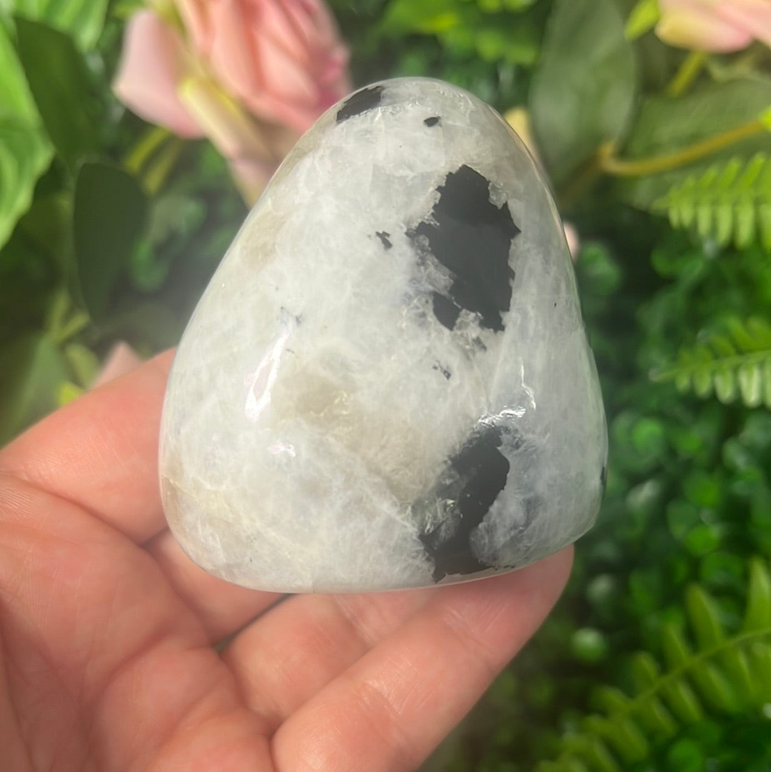 Rainbow Moonstone Freeform