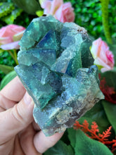 Load image into Gallery viewer, Fluorite (Color Change) - Poison Ivy Pocket
