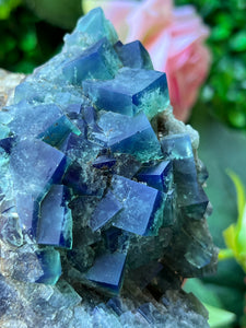 Fluorite (Color Change) - Naughty Gnome Pocket