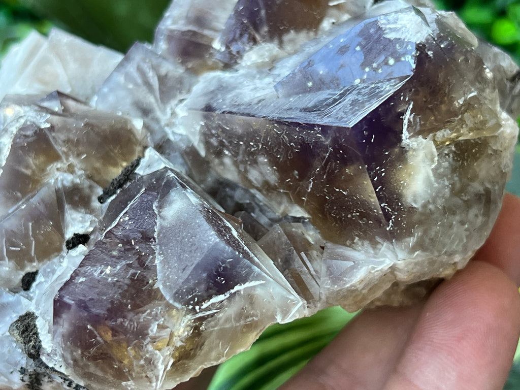 Fluorite (color change) - Harvest Pocket