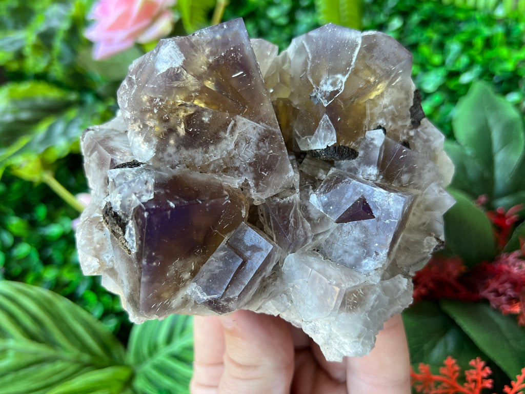 Fluorite (color change) - Harvest Pocket