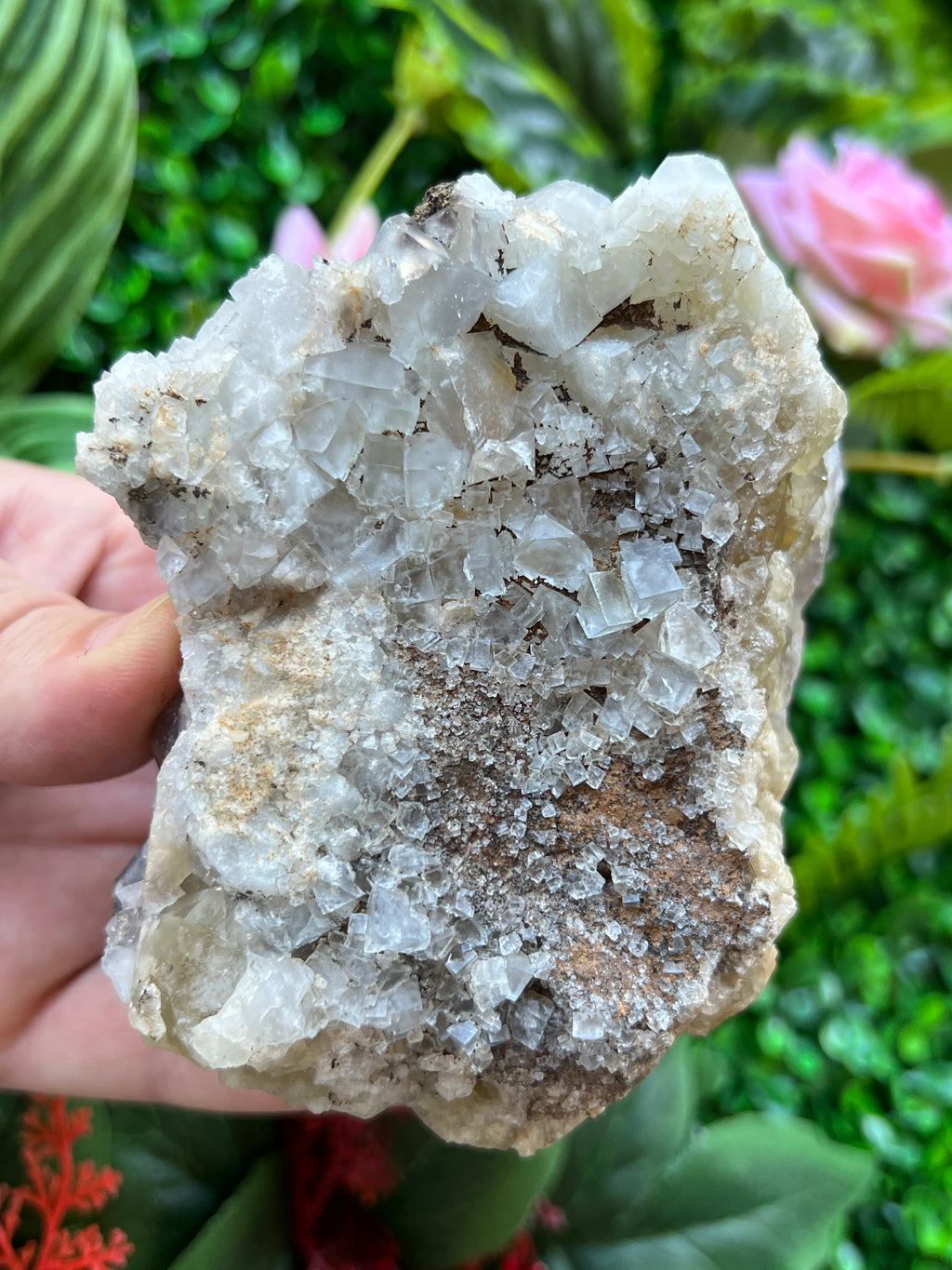 Fluorite (color change) - Harvest Pocket