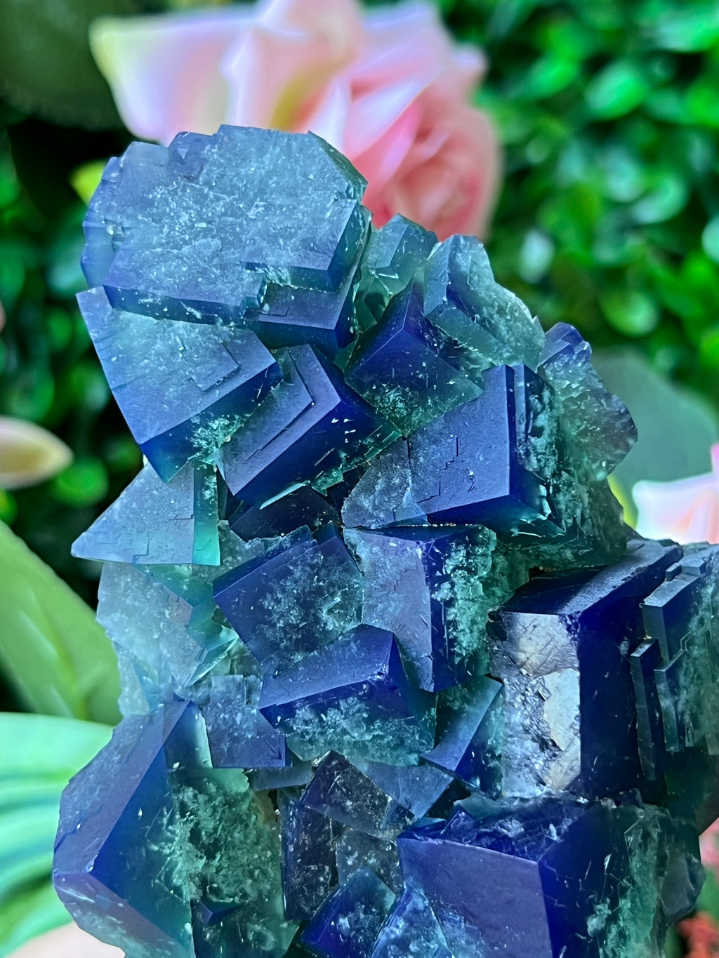 Fluorite (Color Change) - Naughty Gnome Pocket