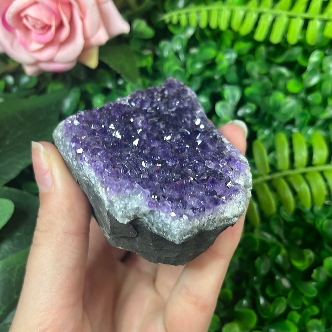Amethyst Cluster