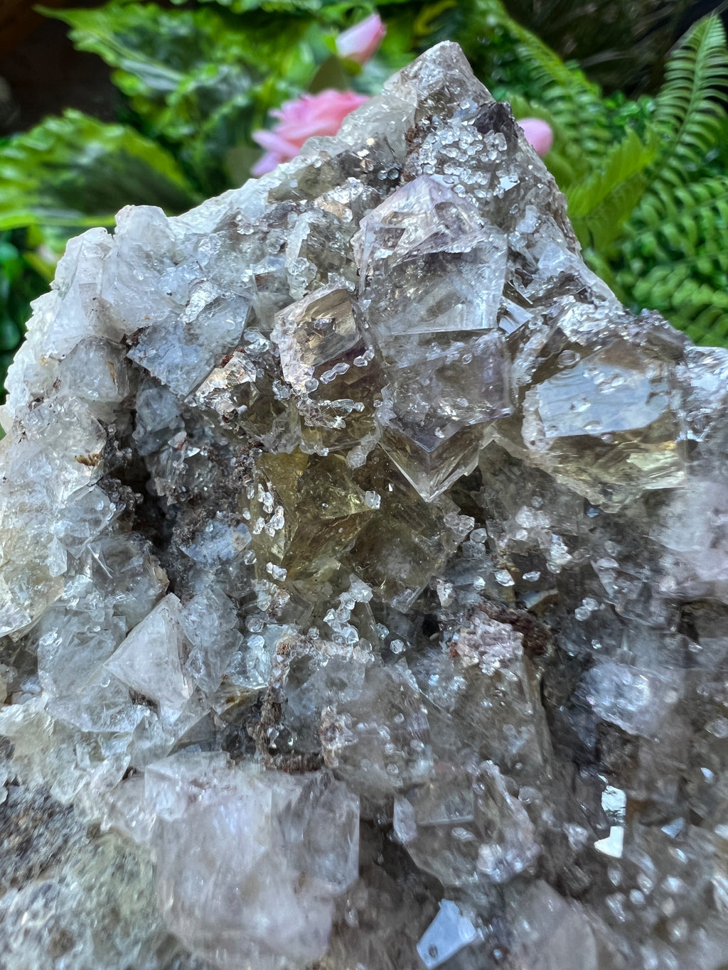 Fluorite - Lemon Meringue Pocket
