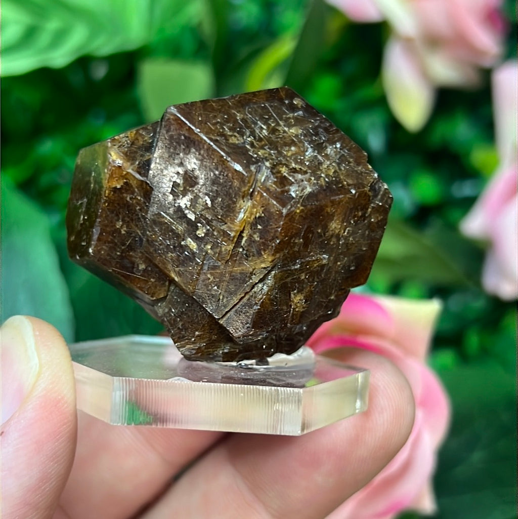 Andradite-Grossular Garnet