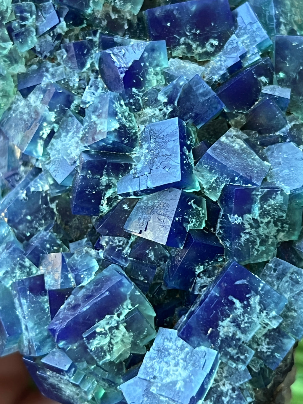 Fluorite (Color Change) - Naughty Gnome Pocket