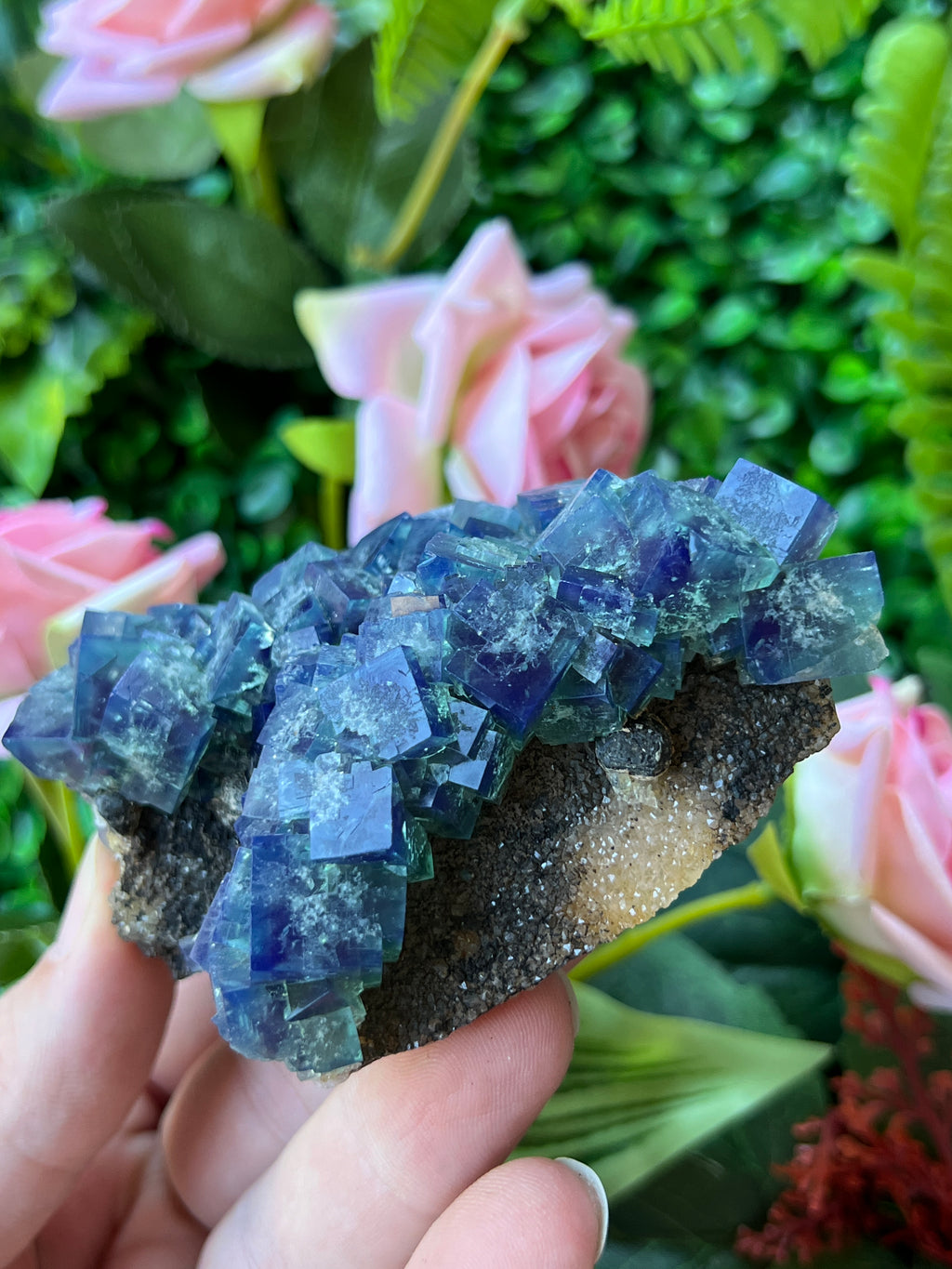 Fluorite (Color Change) - Naughty Gnome Pocket