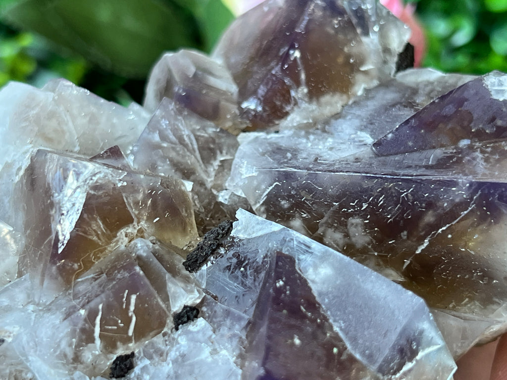 Fluorite (color change) - Harvest Pocket