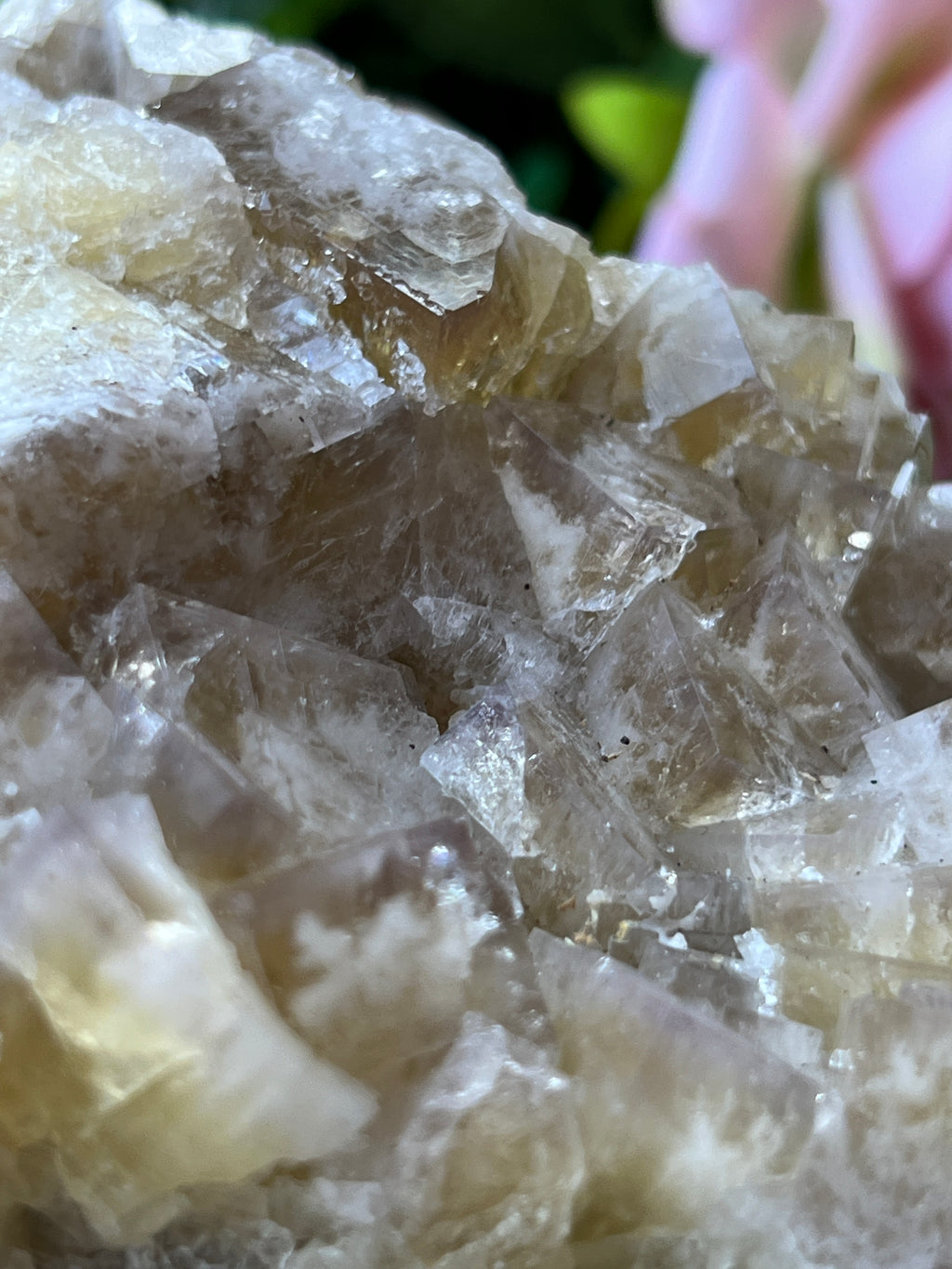 Fluorite (Color Change) - Harvest Pocket