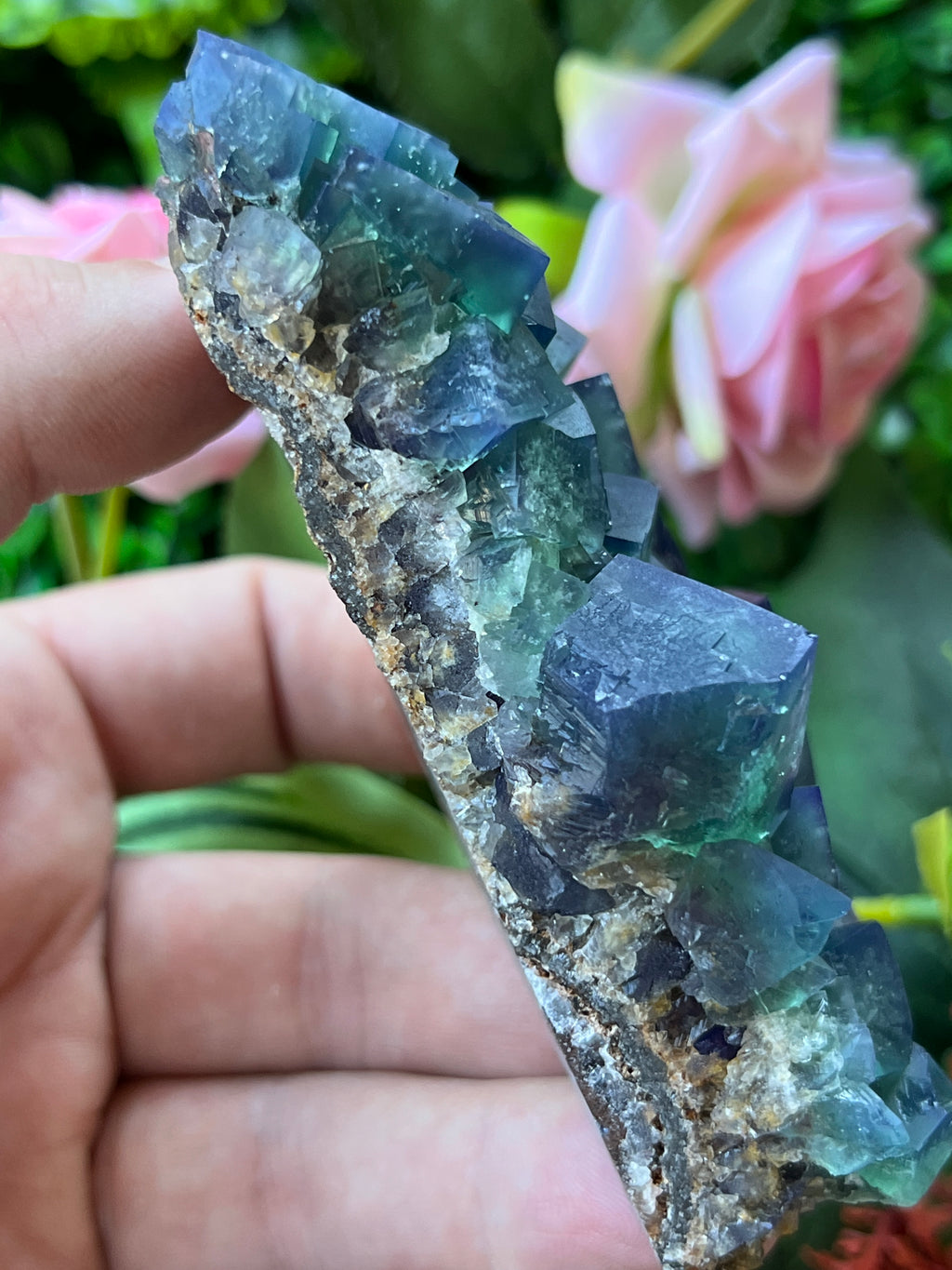 Fluorite (Color Change) - Naughty Gnome Pocket