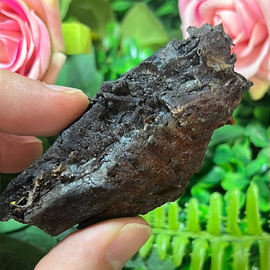 Goethite Cast after Selenite
