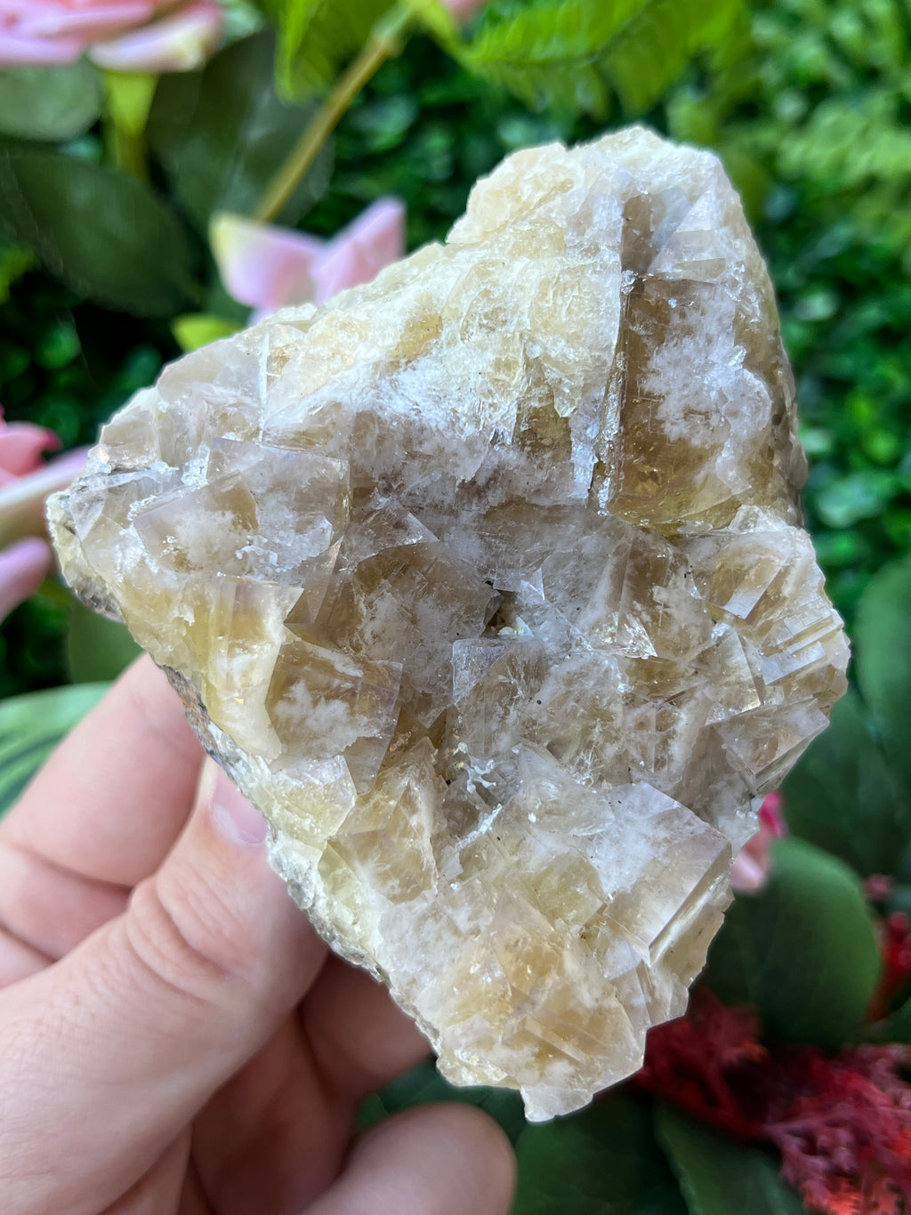 Fluorite (Color Change) - Harvest Pocket