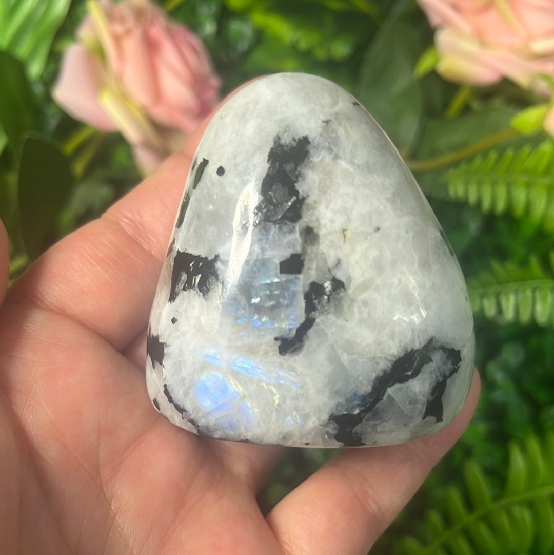 Rainbow Moonstone Freeform