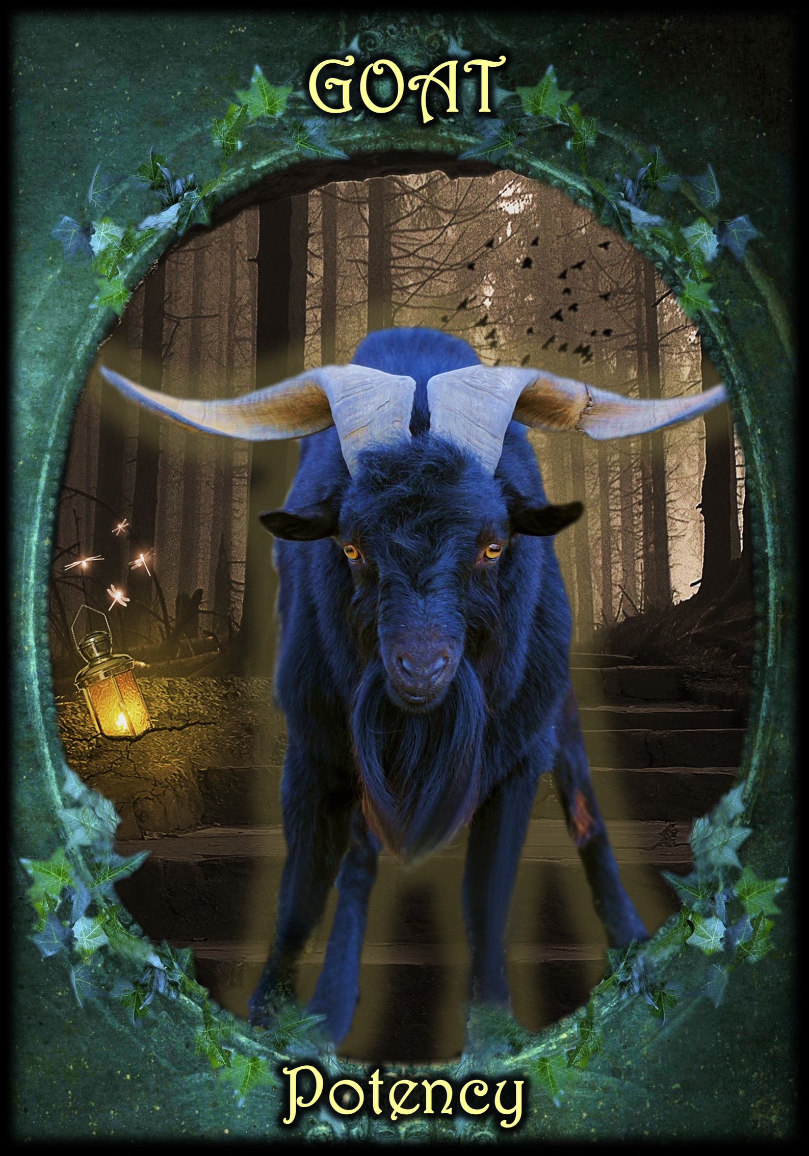Witches Familiars Oracle