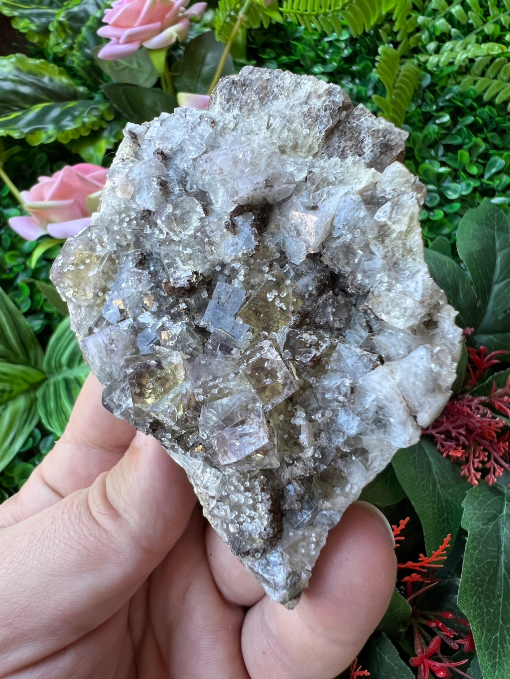 Fluorite - Lemon Meringue Pocket