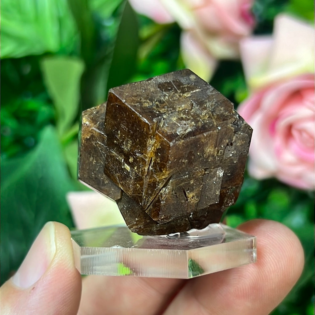 Andradite-Grossular Garnet