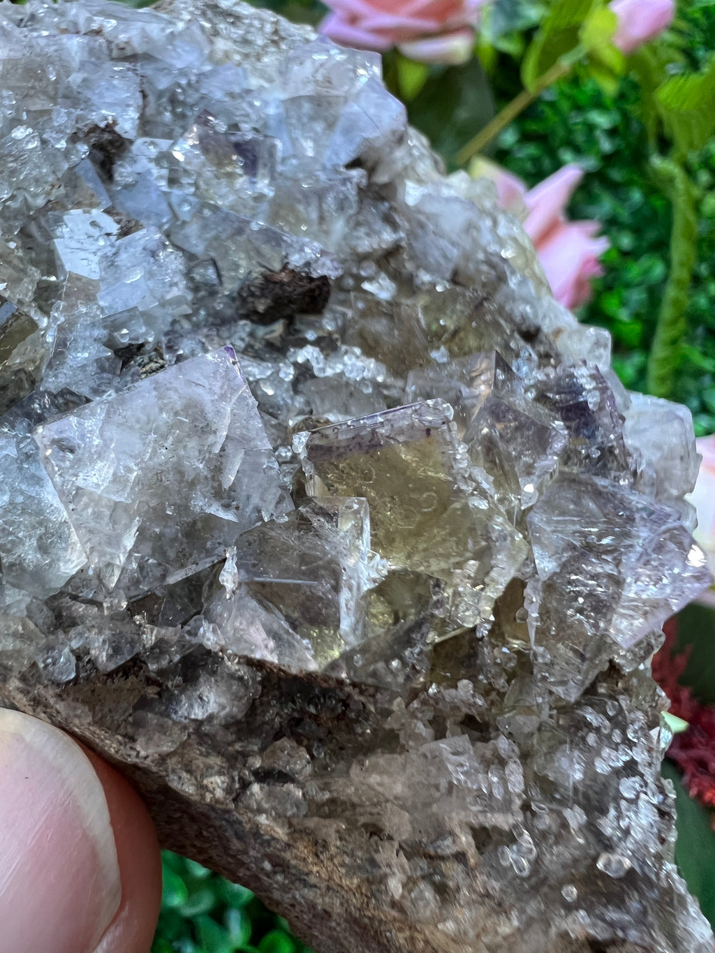 Fluorite - Lemon Meringue Pocket