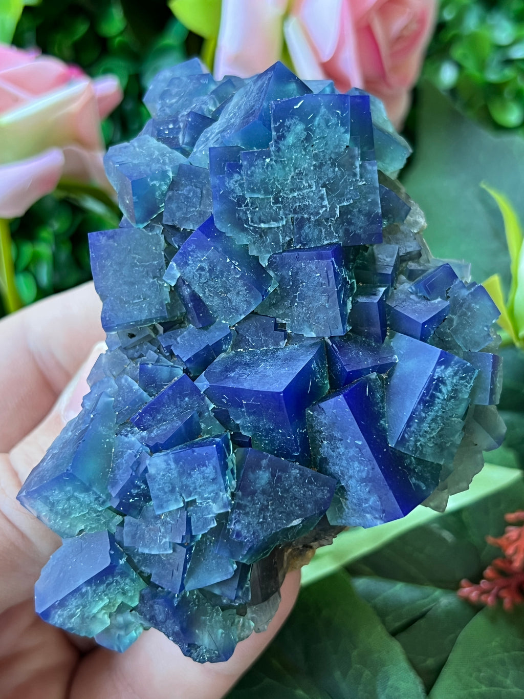 Fluorite (Color Change) - Naughty Gnome Pocket