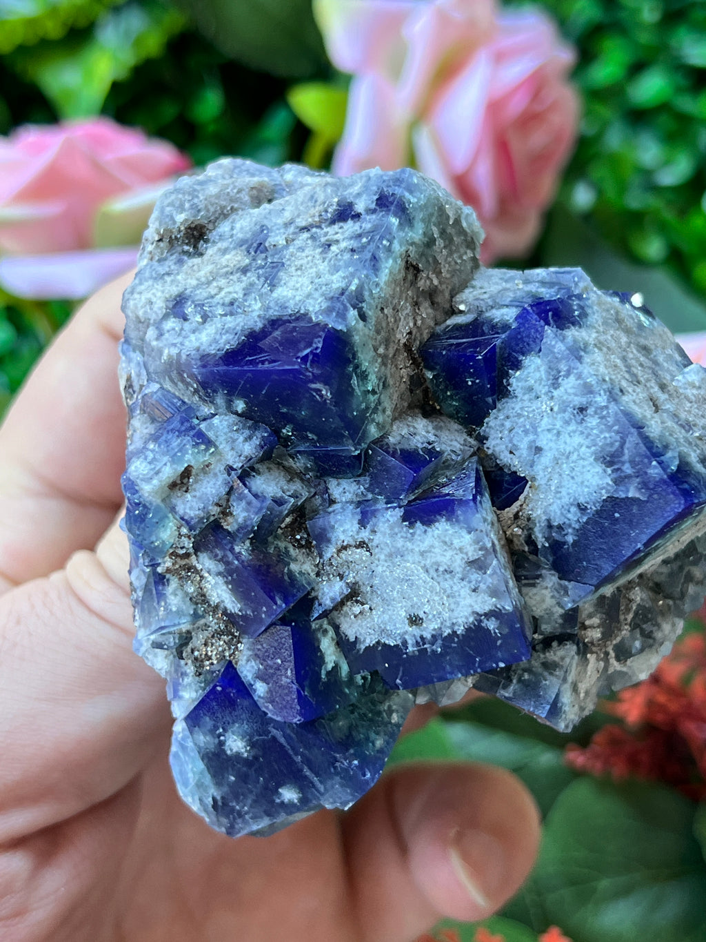 Fluorite (Color Change) w/ Quartz - Super Nova Pocket