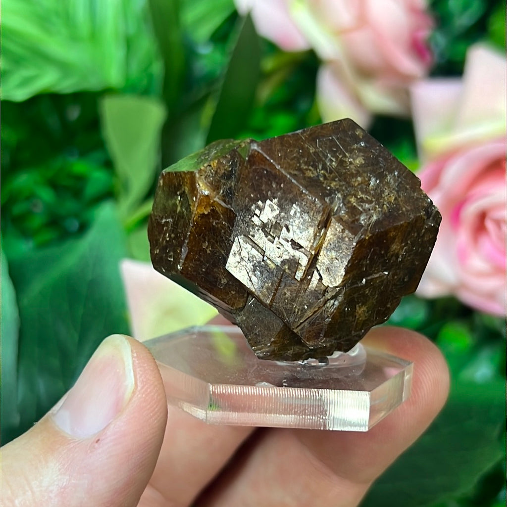 Andradite-Grossular Garnet
