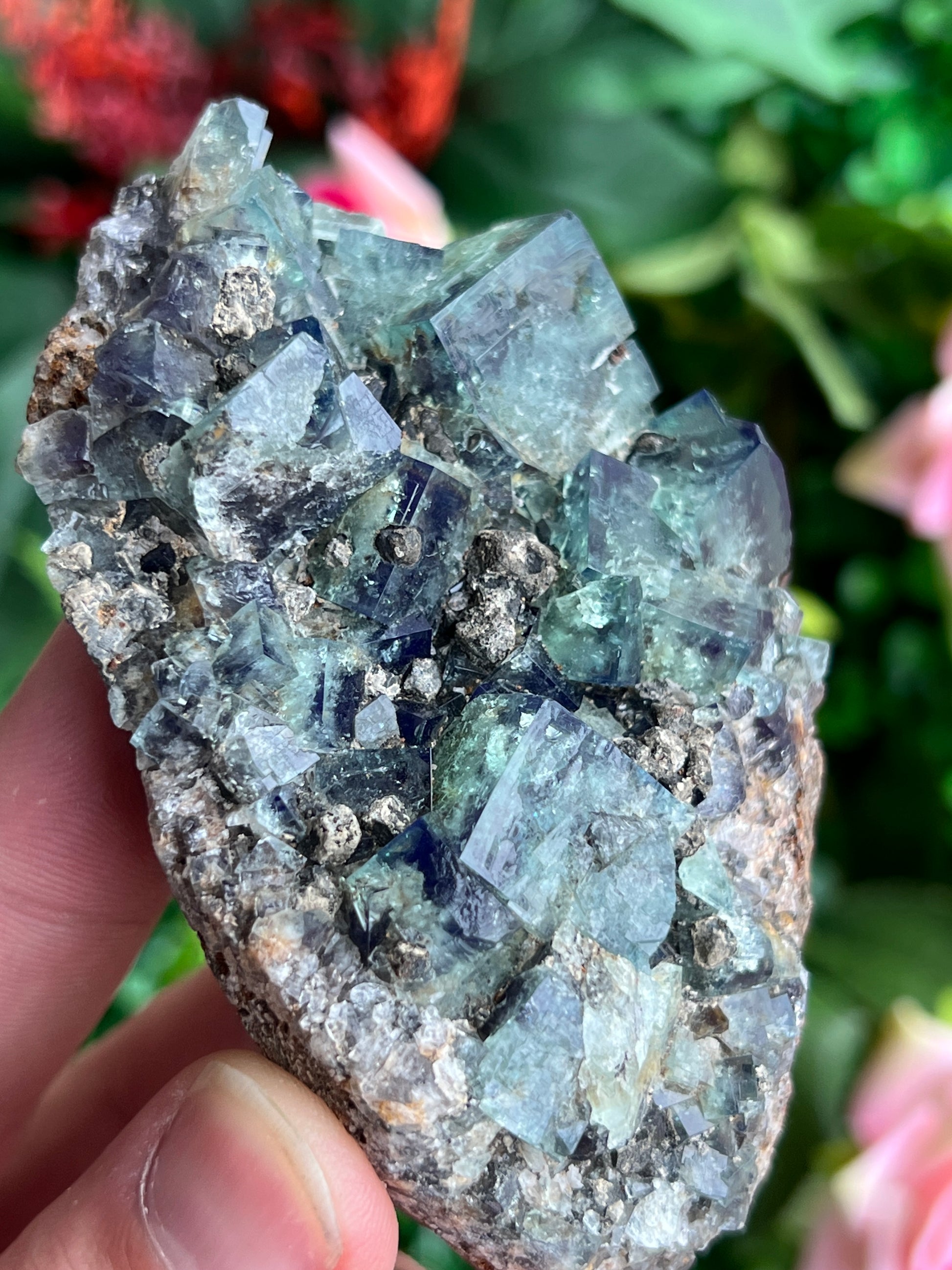 Fluorite (Color Change) w/ Galena
