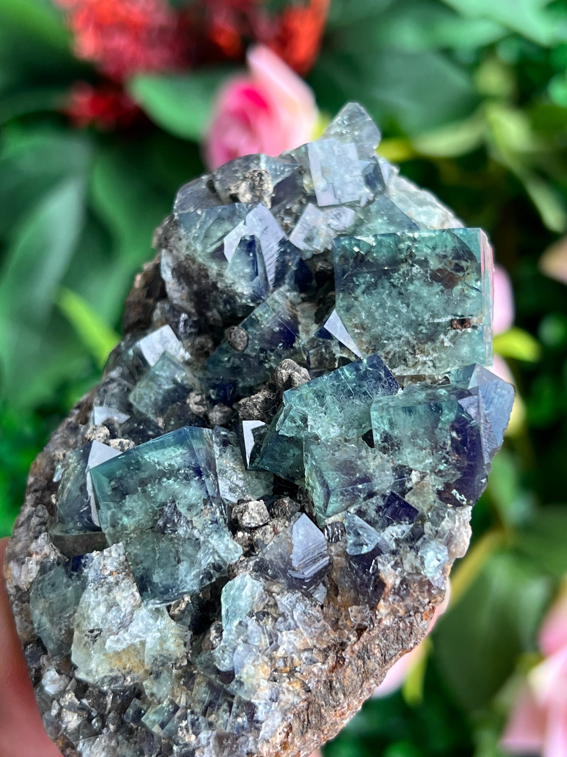 Fluorite (Color Change) w/ Galena