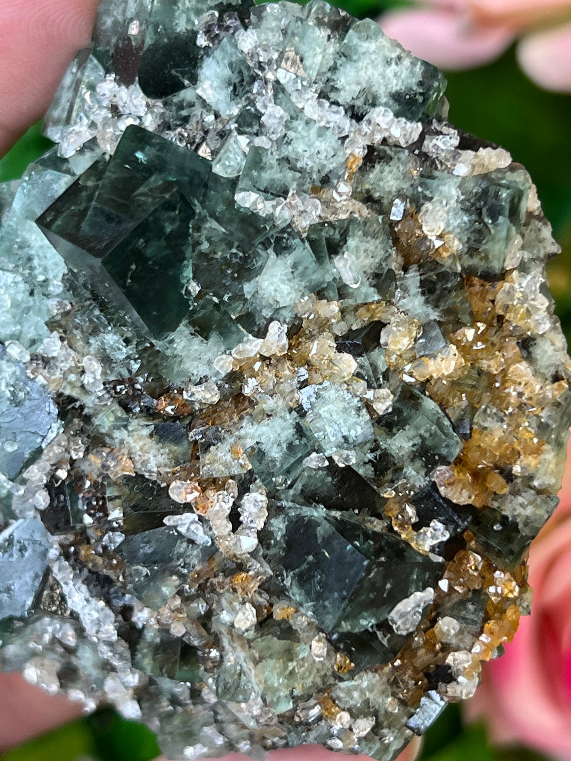 Fluorite (Color Change) w/ Quartz